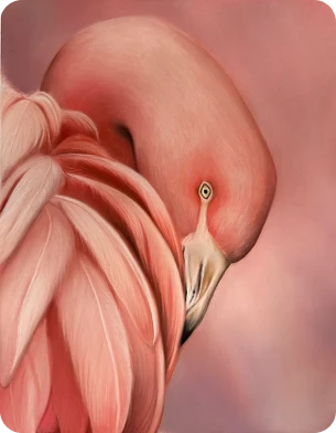 image_4.webp